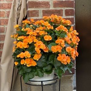 Meet your Posher, Matthew